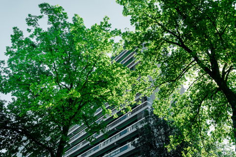 Fijn wonen, ook later: ‘Het huis was te groot geworden’