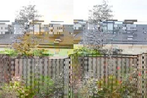 Achtertuin met schutting. 