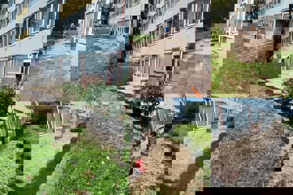 Collage van werkzaamheden in de tuin.