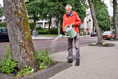 Van Deysselbuurt huurder geeft planten water