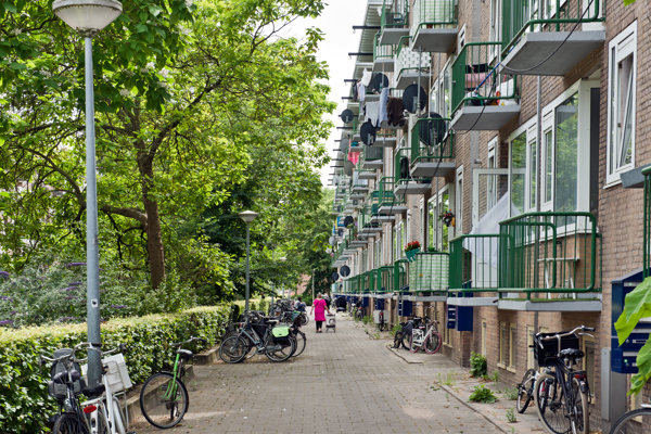 straat met groen