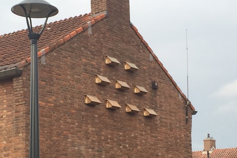 Broedkasten mussen aan gevel woning
